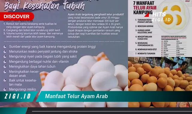 Temukan Manfaat Telur Ayam Arab yang Wajib Kamu Intip