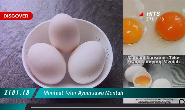 Temukan Manfaat Telur Ayam Jawa Mentah yang Bikin Kamu Penasaran