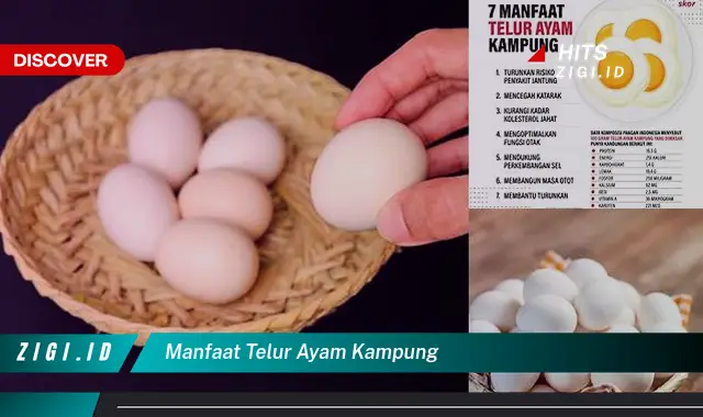 Ketahui 5 Manfaat Telur Ayam Kampung yang Bikin Kamu Penasaran