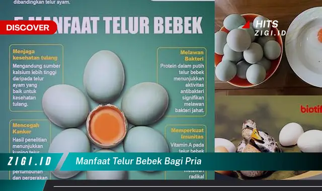 Ketahui Manfaat Telur Bebek Bagi Pria yang Jarang Diketahui