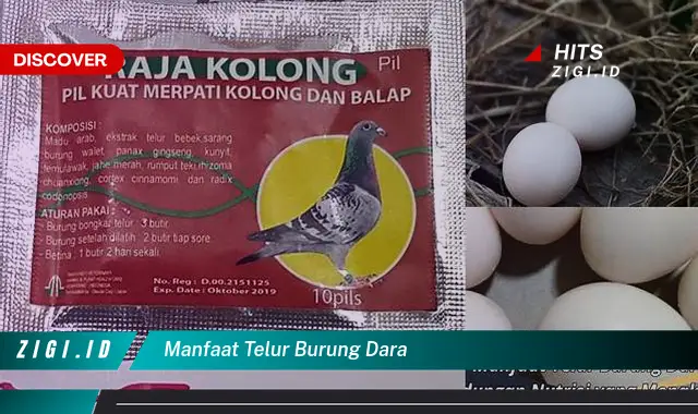 Temukan Manfaat Telur Burung Dara yang Wajib Kamu Intip