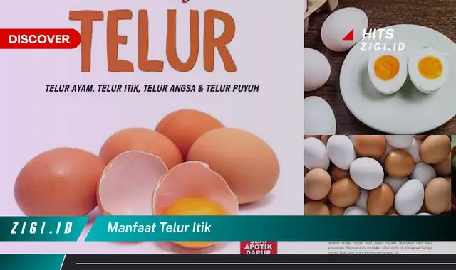 Temukan Manfaat Telur Itik yang Jarang Diketahui dan Bikin Kamu Penasaran