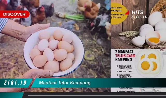Temukan Manfaat Telur Kampung yang Bikin Kamu Penasaran