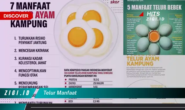 Ketahui Manfaat Telur yang Jarang Diketahui