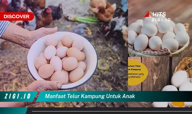 Temukan Manfaat Telur Kampung untuk Anak yang Wajib Anda Ketahui