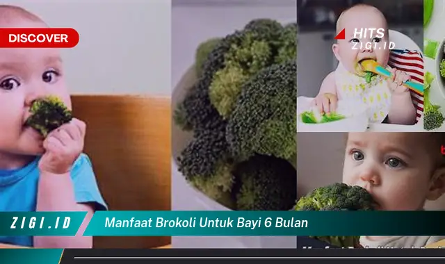 Temukan Manfaat Brokoli untuk Bayi 6 Bulan yang Bikin Kamu Penasaran!