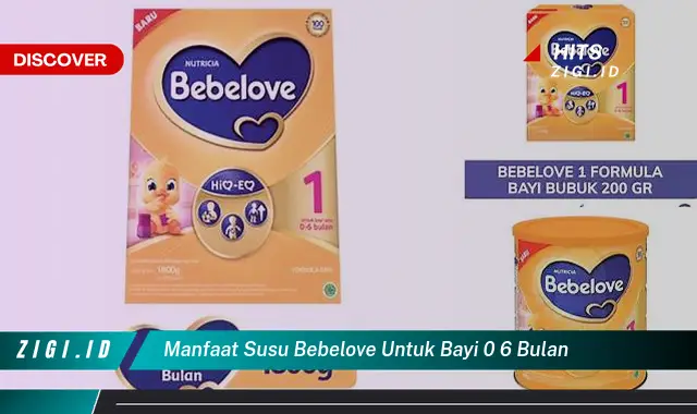 Ketahui Manfaat Susu Bebelove untuk Bayi 0-6 Bulan yang Bikin Kamu Penasaran