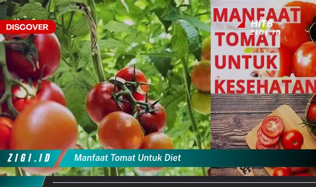 Ketahui Manfaat Tomat untuk Diet yang Bikin Kamu Penasaran