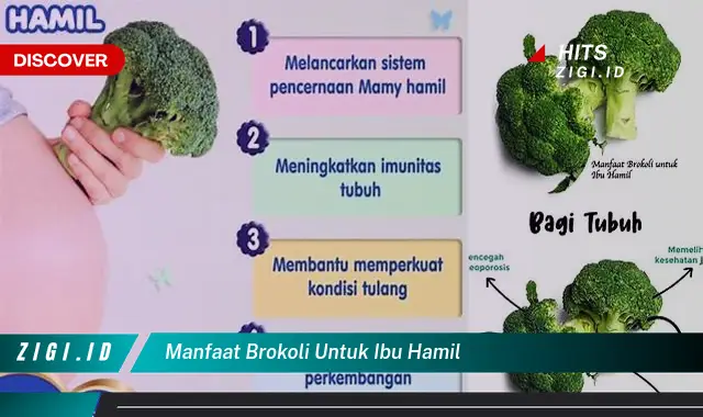 Ketahui Manfaat Brokoli untuk Ibu Hamil yang Bikin Kamu Penasaran