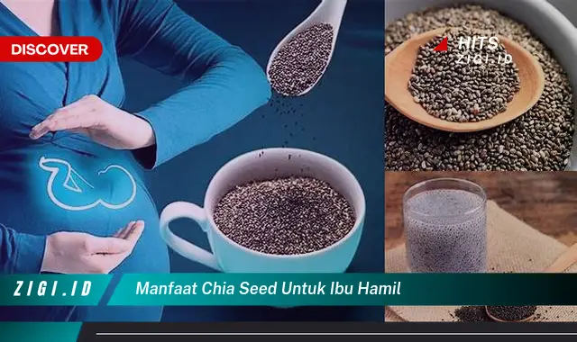 Temukan Manfaat Chia Seed untuk Ibu Hamil yang Bikin Kamu Penasaran