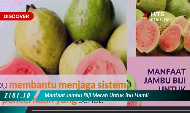 Temukan 5 Manfaat Jambu Biji Merah untuk Ibu Hamil yang Jarang Diketahui!