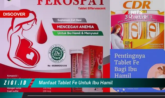 Ketahui Manfaat Tablet Fe yang Wajib Kamu Intip untuk Ibu Hamil
