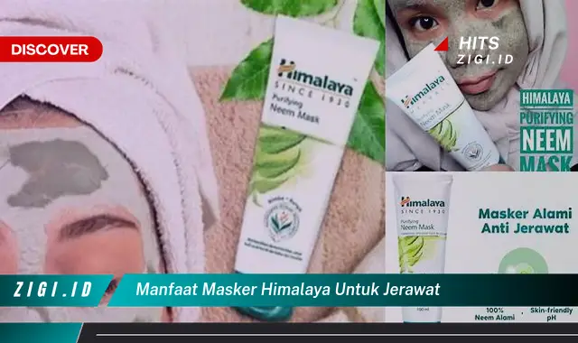 Temukan 5 Manfaat Masker Himalaya untuk Jerawat yang Jarang Diketahui!