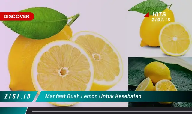 Ketahui 5 Manfaat Buah Lemon Untuk Kesehatan Yang Bikin Kamu Penasaran