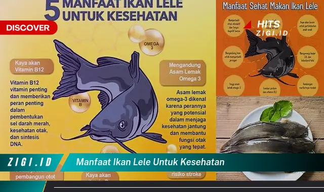 Ketahui 5 Manfaat Ikan Lele untuk Kesehatan yang Jarang Diketahui