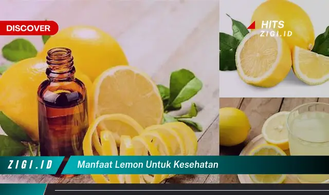 Temukan Manfaat Lemon yang Jarang Diketahui untuk Kesehatan