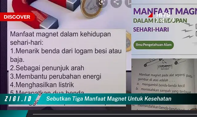 Ketahui 3 Manfaat Magnet untuk Kesehatan yang Jarang Diketahui