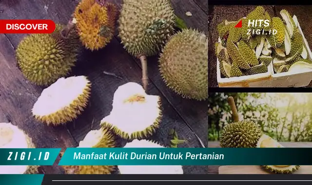 Ketahui Manfaat Kulit Durian untuk Pertanian yang Jarang Diketahui