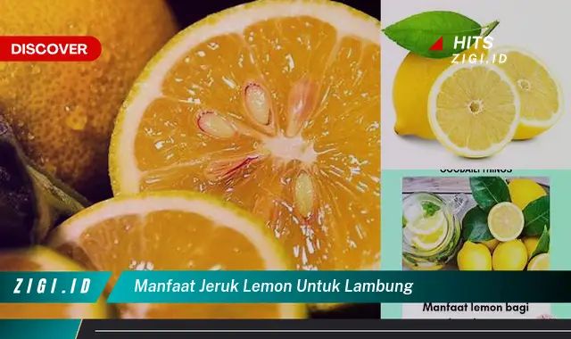 Ketahui 5 Manfaat Jeruk Lemon untuk Kesehatan Lambung yang Wajib Kamu Intip