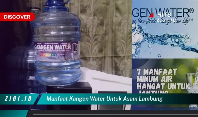 Ketahui Manfaat Kangen Water untuk Asam Lambung yang Jarang Diketahui