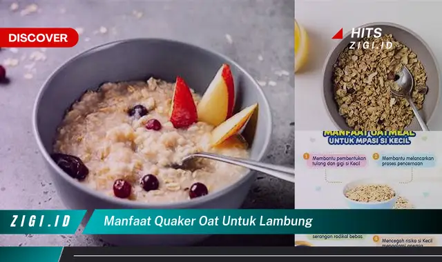 Ketahui 5 Manfaat Quaker Oat untuk Lambung yang Bikin Kamu Penasaran