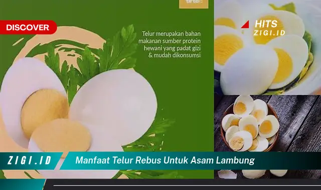 Temukan Manfaat Telur Rebus untuk Asam Lambung yang Jarang Diketahui