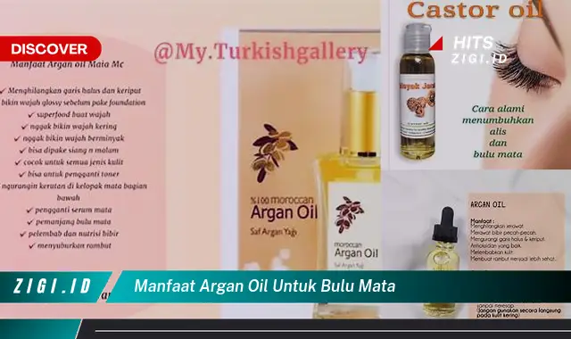 Temukan Manfaat Argan Oil untuk Bulu Mata yang Bikin Kamu Penasaran