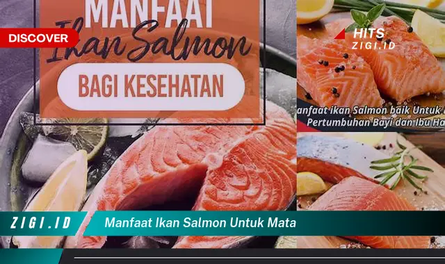 Ketahui Manfaat Ikan Salmon untuk Mata yang Wajib Kamu Intip