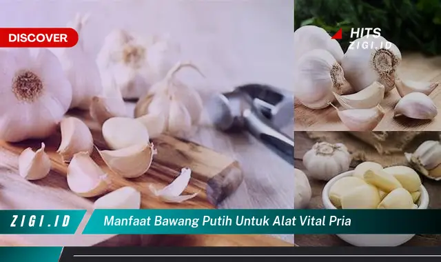 Temukan Manfaat Bawang Putih Untuk Pria Yang Bikin Kamu Penasaran