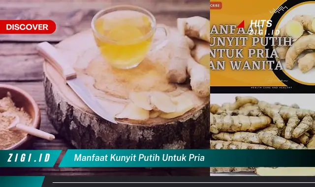 Temukan 5 Manfaat Kunyit Putih untuk Pria yang Wajib Kamu Intip