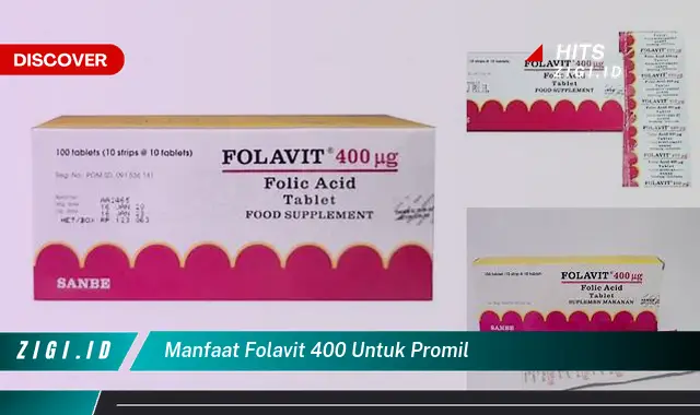 Ketahui Manfaat Folavit 400 untuk Promil yang Wajib Kamu Ketahui