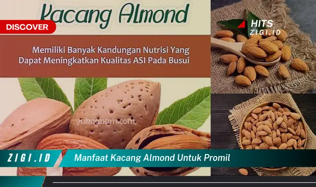 Ketahui 5 Manfaat Kacang Almond untuk Promil yang Wajib Kamu Intip