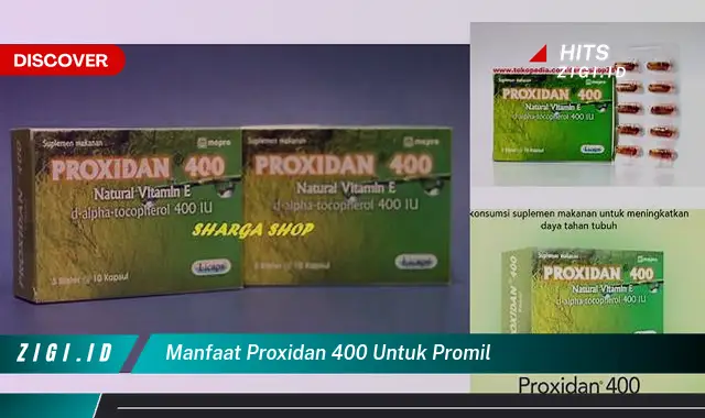 Temukan Manfaat Proxidan 400 untuk Promil yang Jarang Diketahui