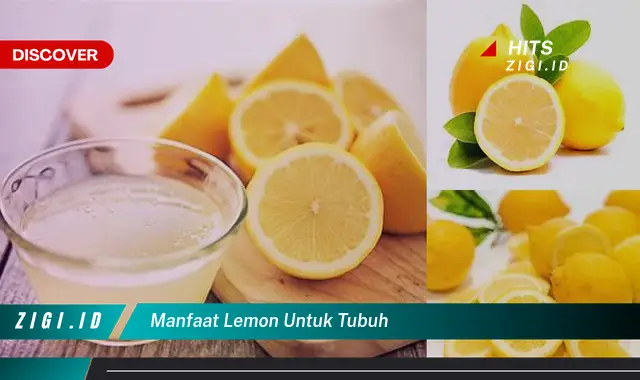 Temukan Manfaat Lemon untuk Tubuh yang Bikin Kamu Penasaran