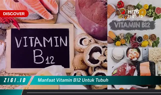 Temukan 5 Manfaat Vitamin B12 untuk Tubuh yang Bikin Kamu Penasaran