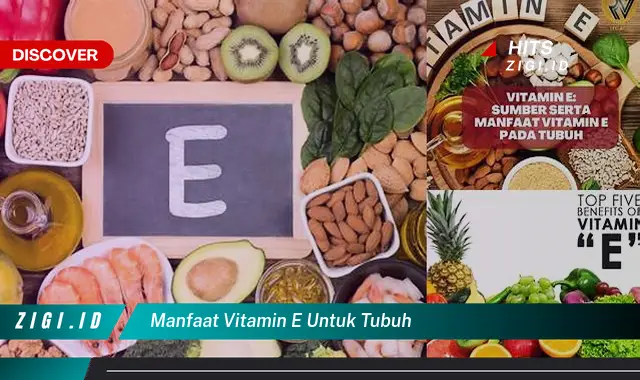 Ketahui Manfaat Vitamin E untuk Tubuh yang Wajib Kamu Intip!