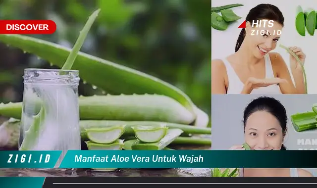 Temukan Manfaat Aloe Vera untuk Wajah yang Bikin Kamu Penasaran