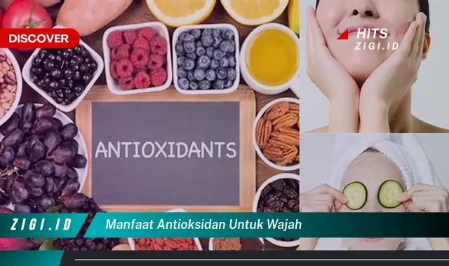 Temukan 5 Manfaat Antioksidan untuk Wajah yang Jarang Diketahui