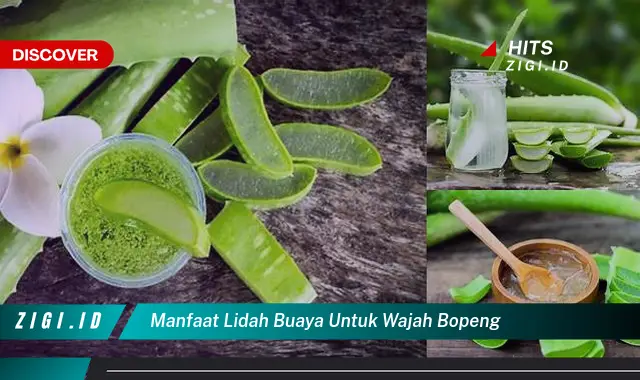 Temukan Manfaat Lidah Buaya untuk Wajah Bopeng yang Bisa Bikin Kamu Penasaran