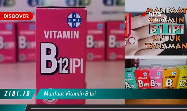 Temukan Manfaat Vitamin B Ipi yang Bikin Kamu Penasaran