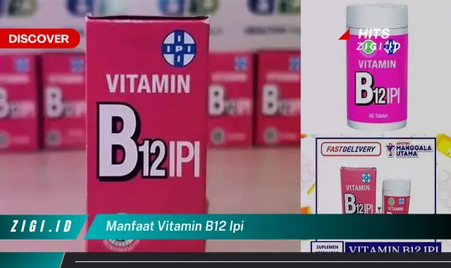 Temukan Manfaat Vitamin B12 IPI yang Bikin Kamu Penasaran