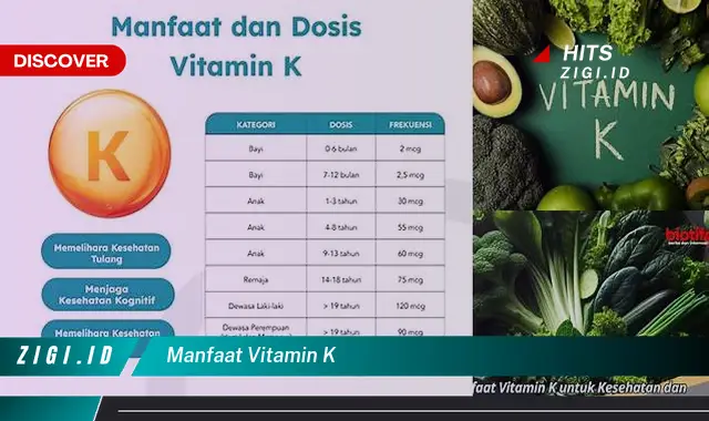 Temukan Manfaat Vitamin K yang Bikin Kamu Penasaran!