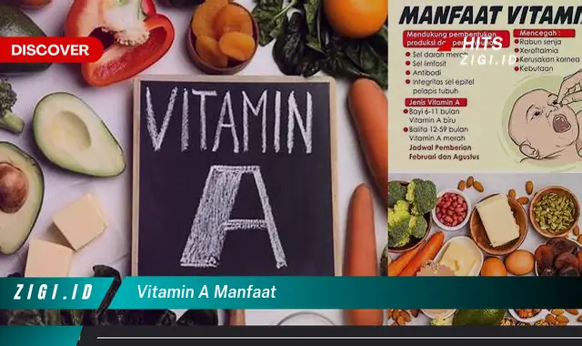 Ketahui Manfaat Vitamin A yang Wajib Kamu Intip