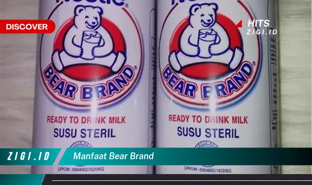 Ketahui 7 Manfaat Bear Brand yang Wajib Kamu Intip – Discover