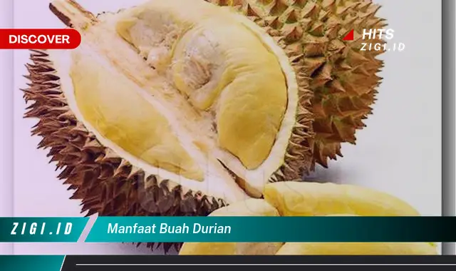 Ketahui 7 Manfaat Buah Durian yang Wajib Kamu Intip – Discover