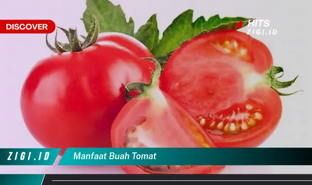 Ketahui 7 Manfaat Buah Tomat yang Wajib Kamu Intip – Discover