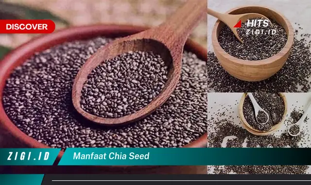 Temukan 7 Manfaat Chia Seed yang Bikin Kamu Penasaran – Discover