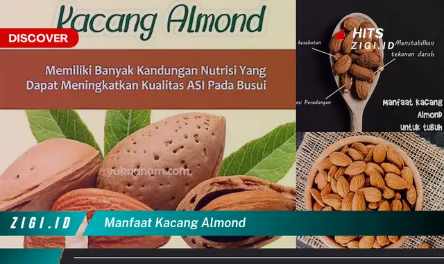 Temukan 7 Manfaat Kacang Almond yang Bikin Kamu Penasaran!
