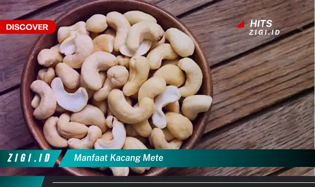 Temukan 7 Manfaat Kacang Mete yang Jarang Diketahui – Discover