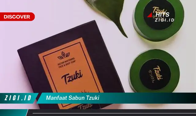 Intip 7 Manfaat Sabun Tzuki yang Jarang Diketahui – Discover